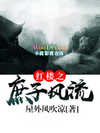 红楼之庶子贾环txt免费下载